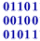 Binary Data